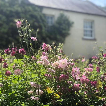 Dalton House Bed And Breakfast Exterior foto